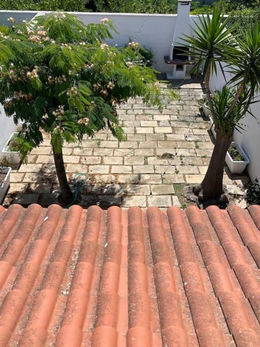 Vistamare La Villetta San Cataldo  Ngoại thất bức ảnh